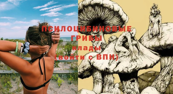 гашиш Белокуриха
