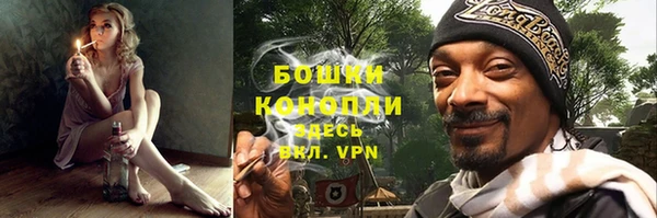 твердый Покачи