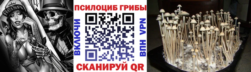 ОМГ ОМГ зеркало  Реж  Псилоцибиновые грибы мицелий 